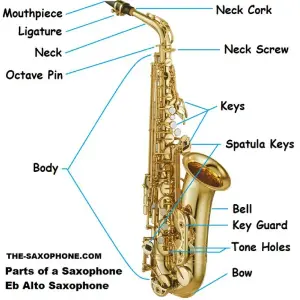How to learn playing on Saxsaphone