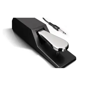 Alesis Asp2 Universal Piano Style Sustain Pedal