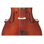 Antoni ACC35 Debut Cello Outfit 1/2 Size