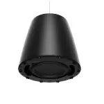 Bose DesignMax DM10P-SUB — Powerful Professional Subwoofer Speaker (Black