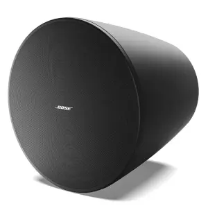 Bose DesignMax DM10P-SUB — Powerful Professional Subwoofer Speaker (Black