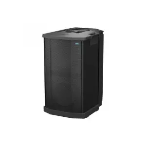Bose F1 Active Subwoofer – Deep Bass with Professional Power