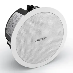 Bose FreeSpace DS 40F Loudspeaker (White)