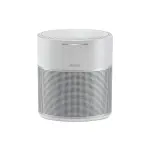 Bose Home Speaker 300 - Silver