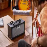 Boss Dual Cube LX Guitar Amplifier