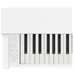 Casio AP-270 CELVIANO Digital Piano - White