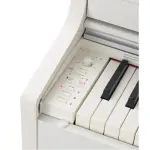 Casio AP-470 C2 Celviano Digital Piano - 88 Keys – White | Elegant Home Digital Piano with Adapter