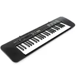 Casio CTK-240H2 49-Key Beginner Portable Keyboard with Built-in Sounds