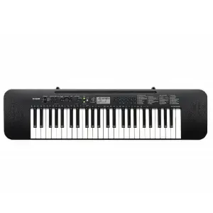 Casio CTK-240H2 49-Key Beginner Portable Keyboard with Built-in Sounds