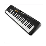 Casio CT-S100C2 Casiotone Keyboard – Beginner-Friendly Black Model