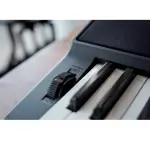 Casio CT-X800C2 - 61-Key Keyboard with Powerful AiX Sound Engine
