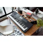 Casio CT-X800C2 - 61-Key Keyboard with Powerful AiX Sound Engine