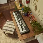 Casio LK-S250 61-Key Lighted Keyboard – Black, Premium Touch-Sensitive Keys