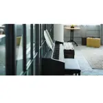 Casio Privia PX-870 Digital Piano Black 88 Keys