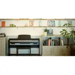 Casio PX-770 88-Key Digital Piano – Authentic Grand Piano Feel & Elegant Design(Bench Not Included)