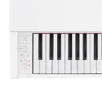 Casio PX-770 88-Key Digital Piano – Authentic Grand Piano Sound & Compact Design
