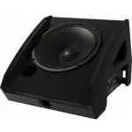 Electro-Voice PXM-12MP powered coaxial monitor, black