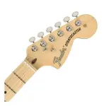 Fender 0114922306 American Performer Stratocaster Electric Guitar