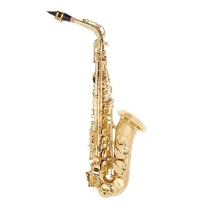 JHS Oas700 / Premiere Slvr/Gd Alto SaxoPhone W/Case