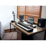 Roland A-49 MIDI Keyboard Controller – 49 Keys, Lightweight & USB Powered for Studio and Live Use