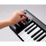 Roland A-49 MIDI Keyboard Controller – 49 Keys, Lightweight & USB Powered for Studio and Live Use