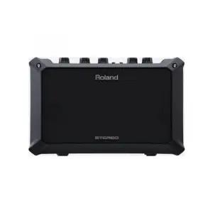 Roland Ac-40 / Acoustic Guitar Amp