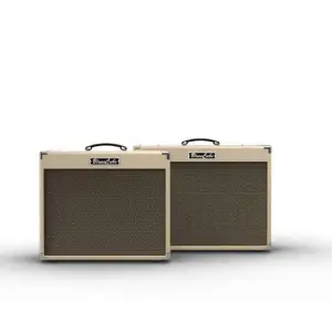 Roland Bc-Artist - Guitar Amp