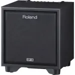 Roland CM-110 Cube Monitor