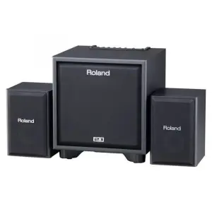 Roland CM-110 Cube Monitor
