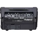 Roland CUBE-STEX Street Amplifier – Portable Battery-Powered Guitar Amp with COSM Effects