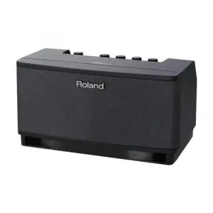 Roland Cube-Lt-Bk / Guitar Amplifier