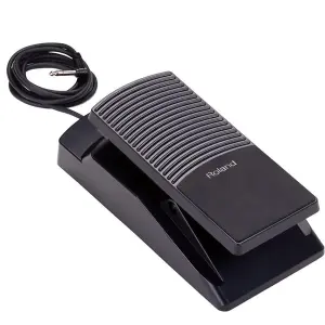 Roland EV-5(C) Expression Pedal