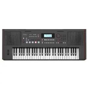 Roland EX-50 Arranger Oriental Keyboard - Black