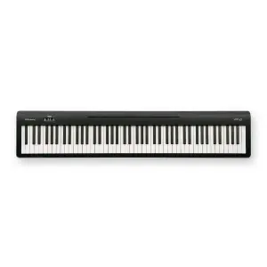 Roland FP-10 Digital Piano - 88 Keys - Black