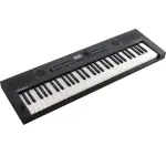 Roland GO:KEYS 5-GT Portable Keyboard – Black