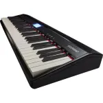 Roland GO:PIANO 61-Key Portable Digital Piano – Black