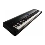 Roland GO:PIANO 61-Key Portable Digital Piano – Black