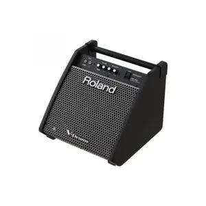 Roland PM-200 - Personal Monitor