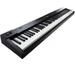 Roland RD-08 Portable Digital Piano with Authentic Acoustic Touch
