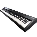 Roland RD-08 Portable Digital Piano with Authentic Acoustic Touch