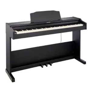 Roland RP102 Digital Piano with Bench Black