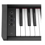 Roland RP107 Black Digital Piano for Home and Studio