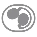 Shure AONIC 40 Wireless Noise Cancelling Headphones – Premium Sound & Comfort