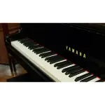 Yamaha C5 Grand Piano In Polished Ebony