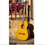 Yamaha CGX122MS Electro Classical Guitar