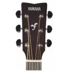Yamaha FS800 T Concert Acoustic Limited Edition Tinted