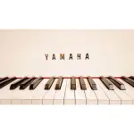 Yamaha GB1K Grand Piano – Elegant White Finish