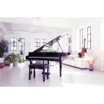 Yamaha CLP-795 GP Digital Grand Piano Black With Bench