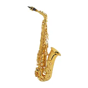 YORX HAS-950 Alto Sax - Brass Body - Gold Lacqer finish