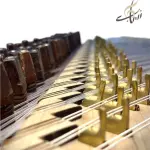 Zithern Zeriab Expert with Bag Q-z1